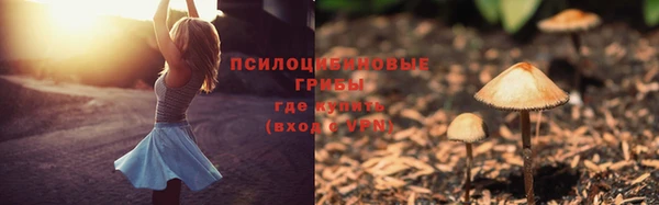 круглые Бородино