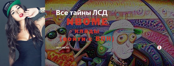 крисы Верхний Тагил