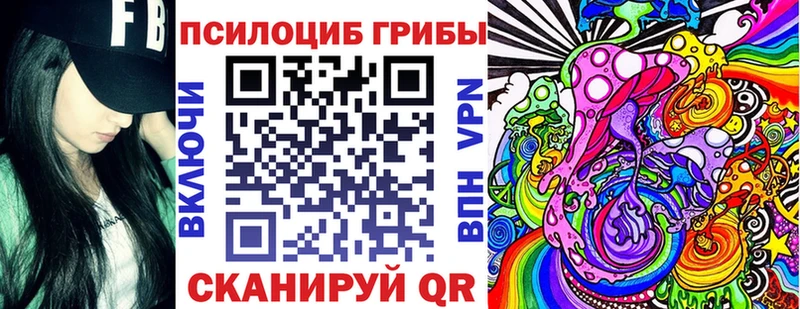 Псилоцибиновые грибы прущие грибы  закладки  Каменка 